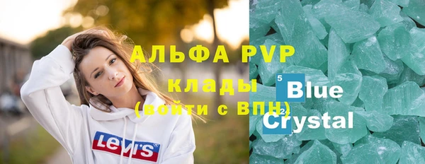 стаф Надым