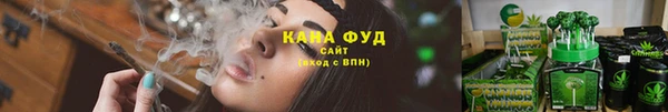 гашик Алзамай