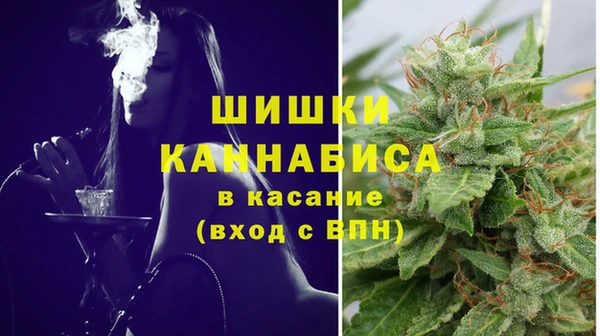 гашик Алзамай