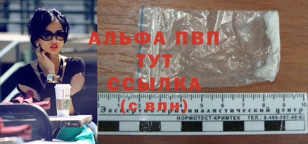 стаф Надым